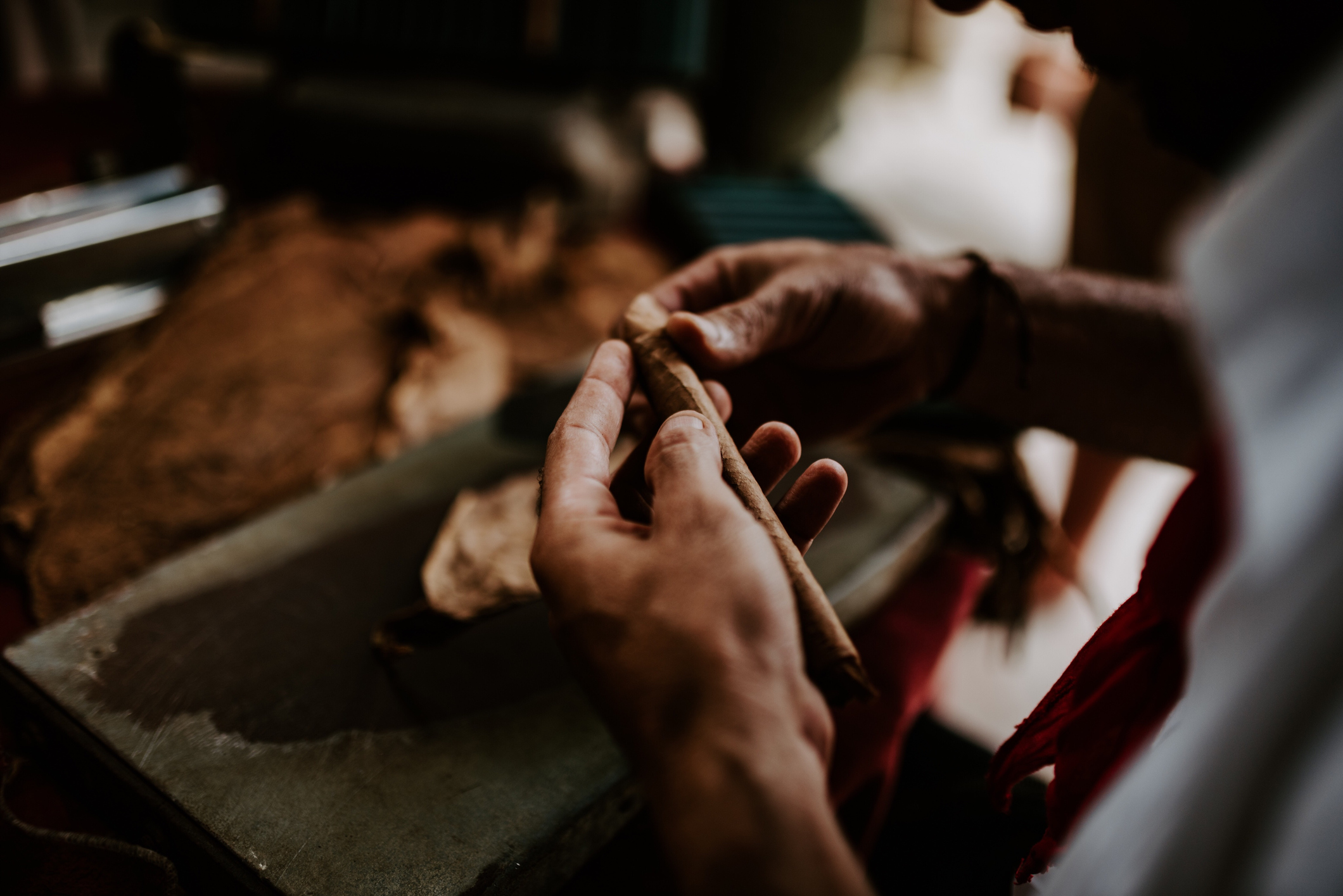 Hands making a cigar