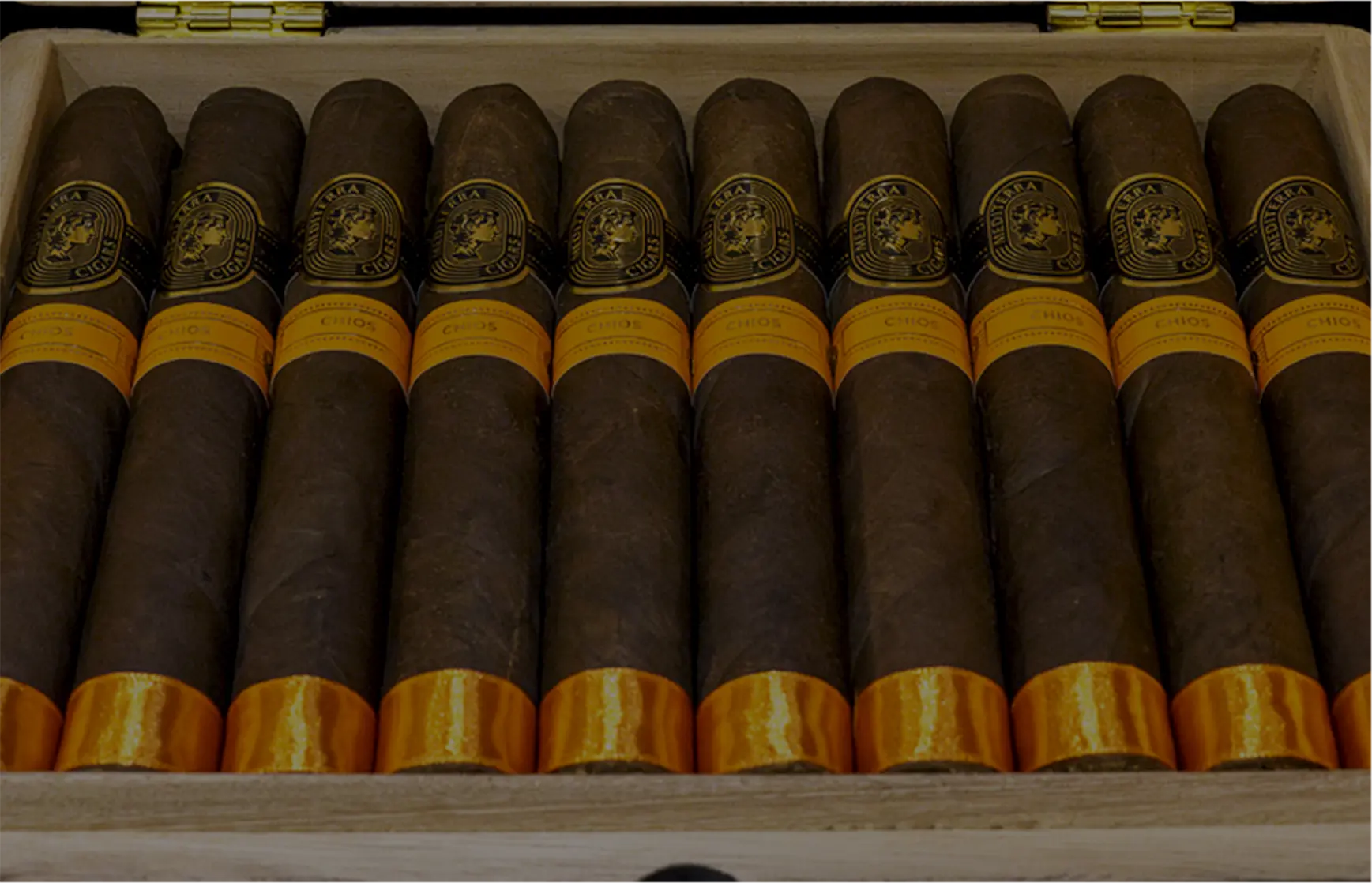 "A wooden cigar box neatly displaying Mediterra cigars, each cigar wrapped in a rich, dark-brown wrapper and featuring a distinctive gold logo band with a Greek-style profile illustration, paired with a vibrant orange band labeled 'Chios'.