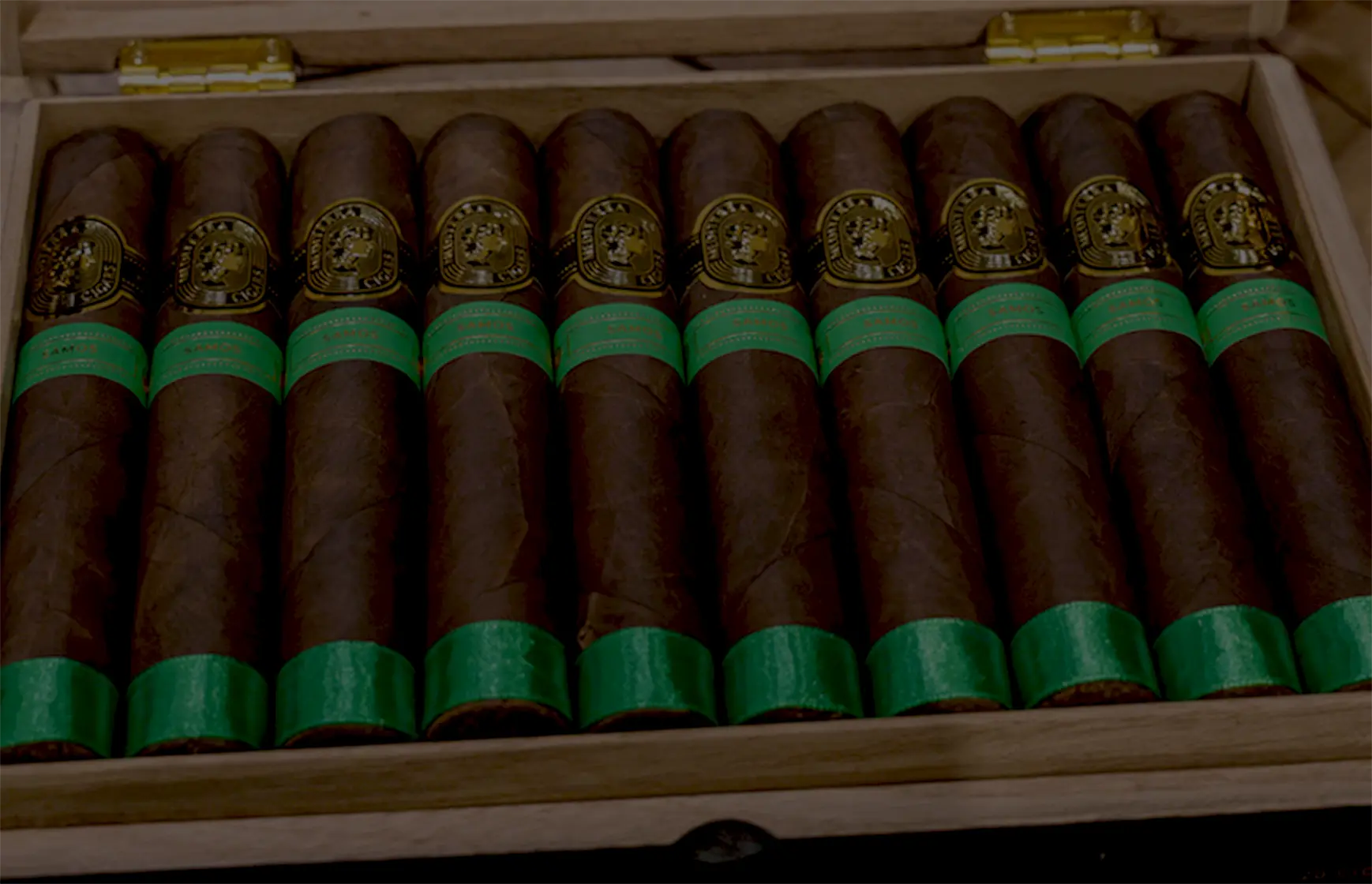 A wooden cigar box neatly arranged with Mediterra cigars, each cigar featuring a dark wrapper, gold logo band with a Greek-style profile illustration, and a vibrant green band labeled 'Samos'.