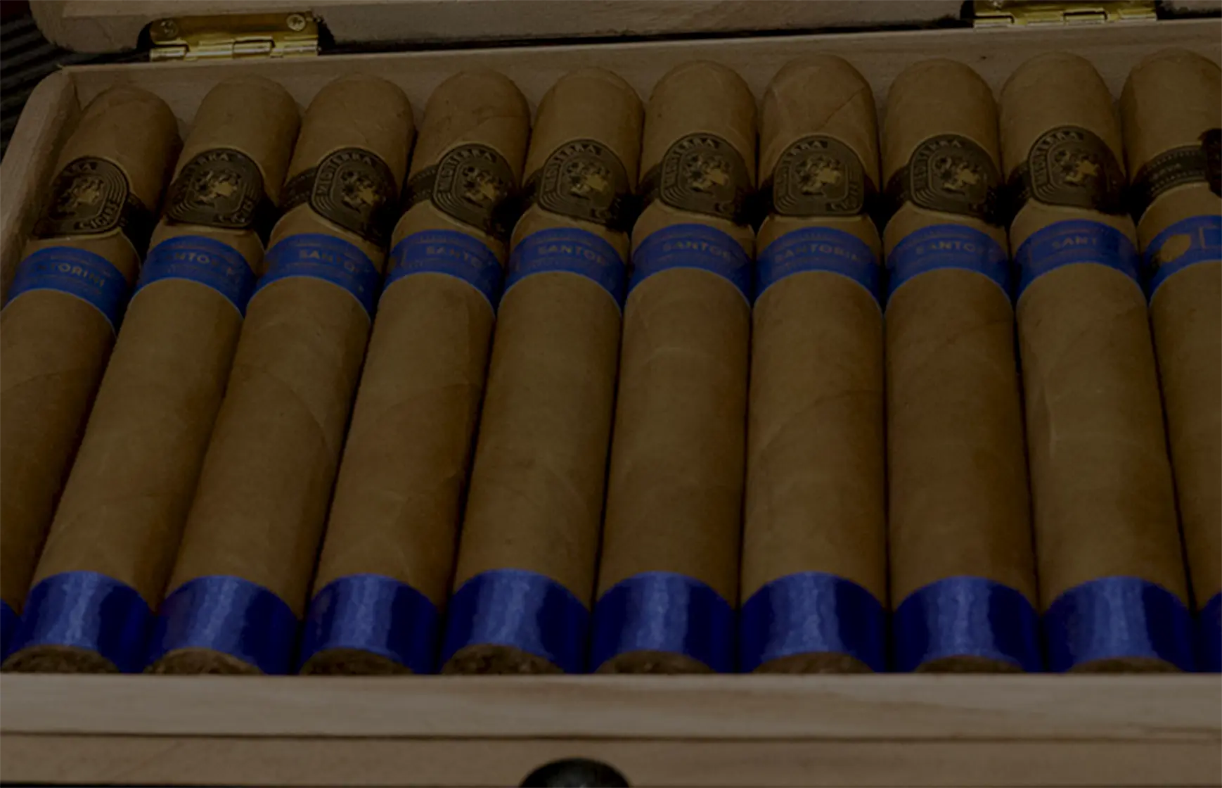 A wooden cigar box containing a neat arrangement of Mediterra cigars, each cigar with a smooth, light-colored wrapper, adorned by a gold logo band displaying a Greek-style profile illustration, and a rich blue band labeled 'Santorini'.