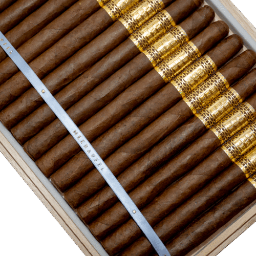 Meerapfel Ernest Lancero  7  1/2 x40