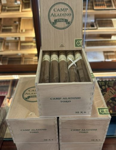 Aladino Camp Aladino Toro 6x52